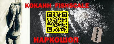 гашик Моздок