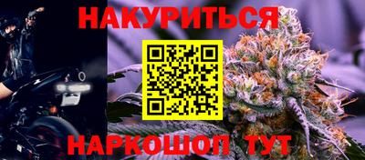 гашик Моздок