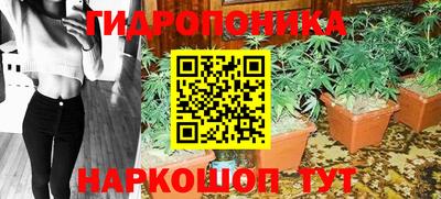 гашик Моздок