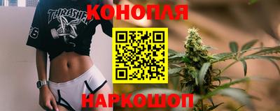 гашик Моздок