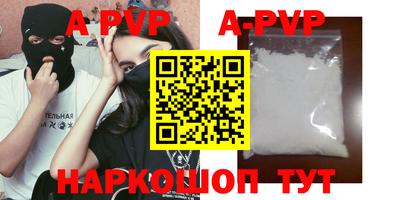 гашик Моздок