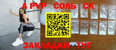гашик Моздок