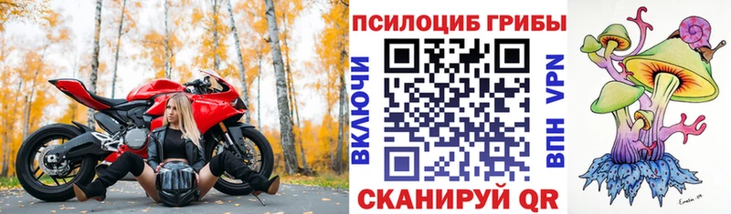 Псилоцибиновые грибы Psilocybe дарк нет наркотические препараты Азов купить наркоту