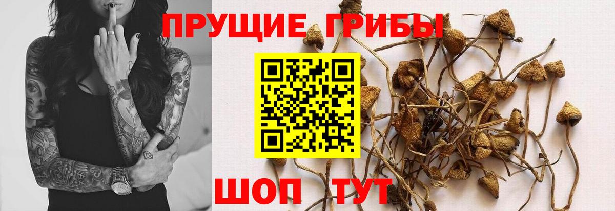 Азов  Псилоцибиновые грибы Magic Shrooms  Вход с VPN 