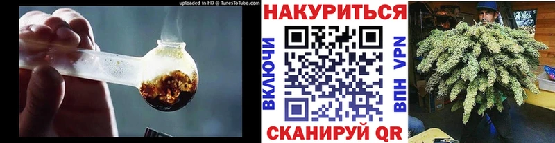 дарнет шоп  Азов  Канабис сатива 